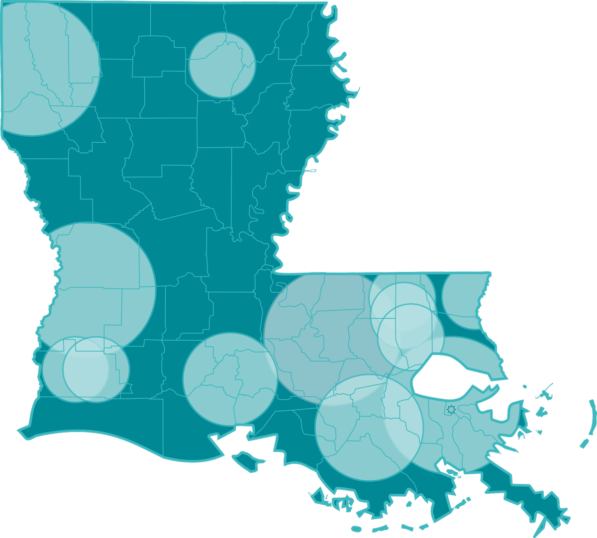 Louisiana Quality Network